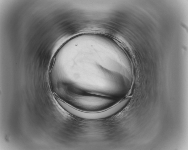 X0000096161344200802081426