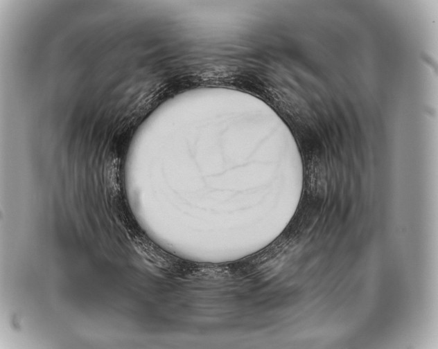 X0000096161346200802081425