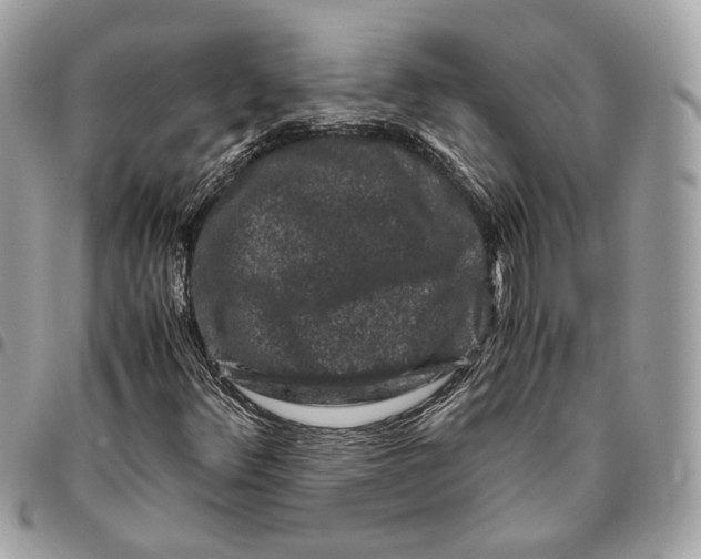 X0000096161348200802081425