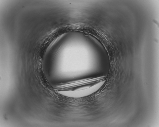 X0000096161349200802081425