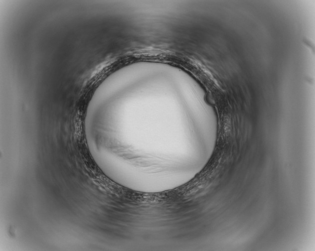 X0000096161350200802081425