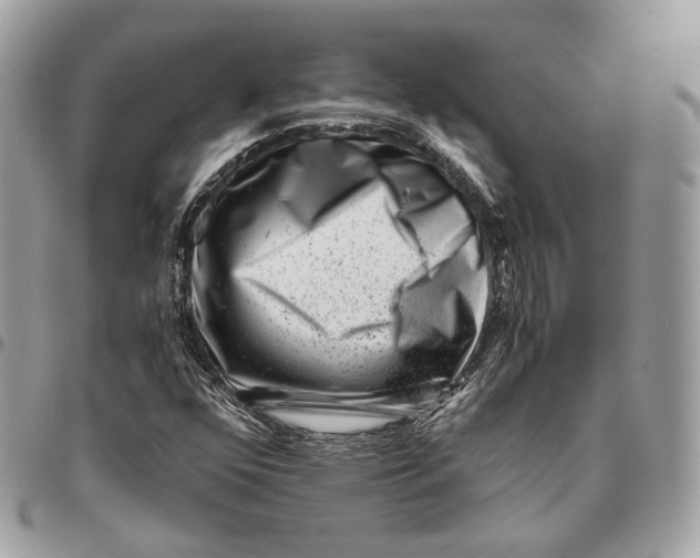 X0000096161352200802081425