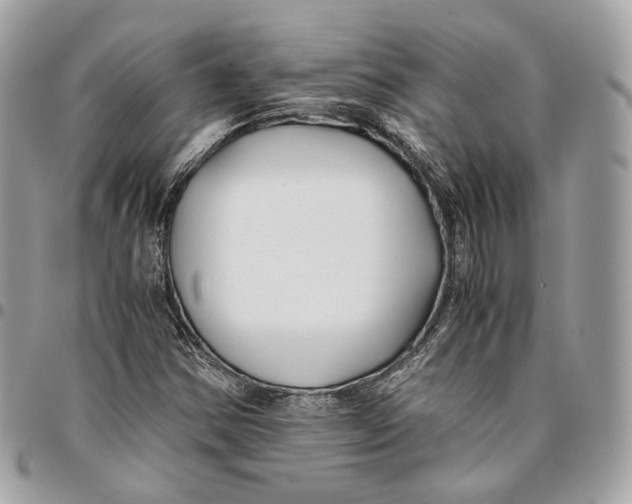 X0000096161354200802081425