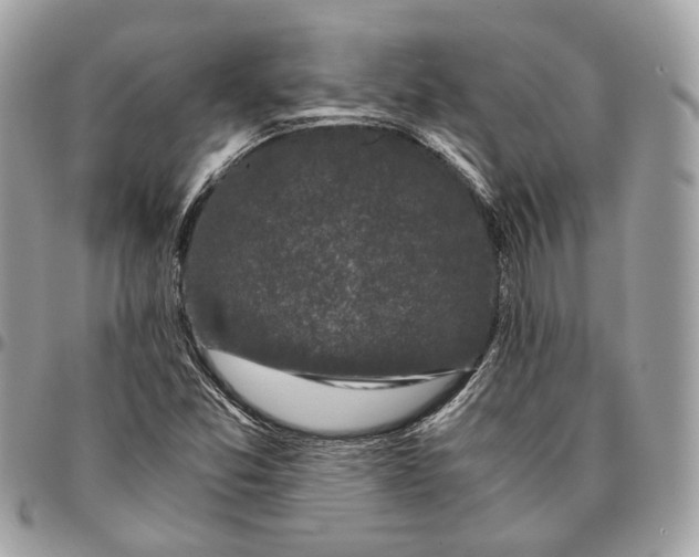 X0000096161357200802081425