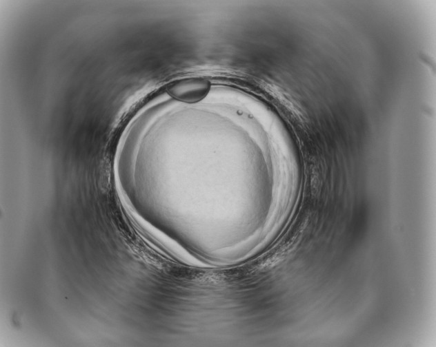 X0000096161358200802081425