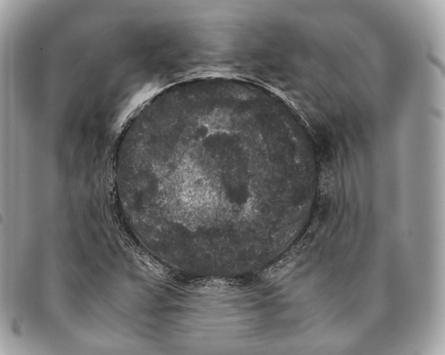 X0000096161359200802081425