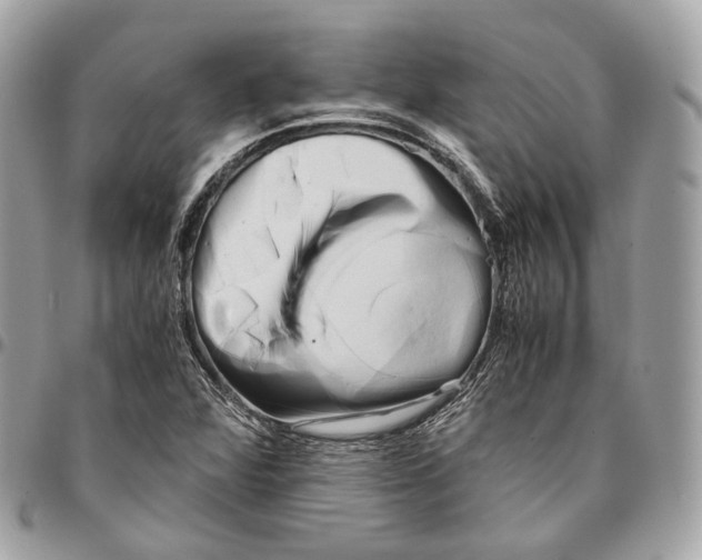 X0000096161360200802081425