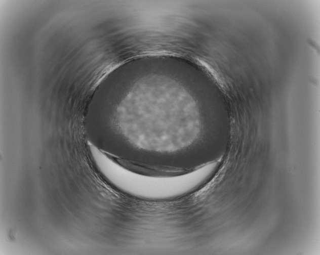 X0000096161361200802081425