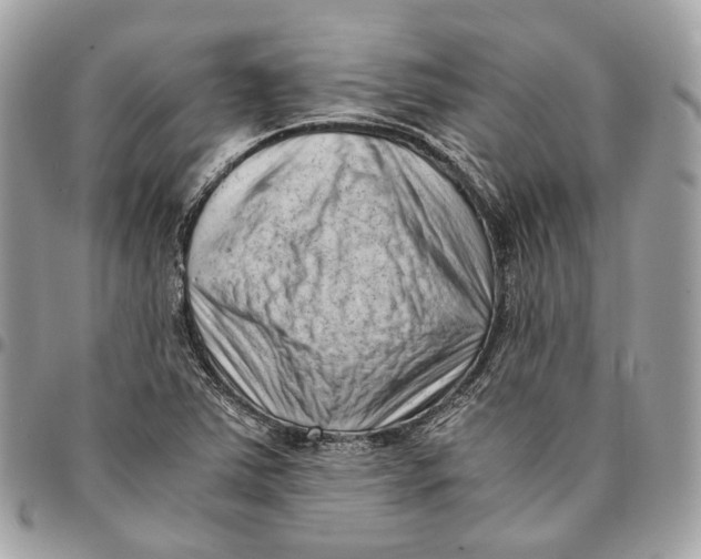 X0000096161363200802081424