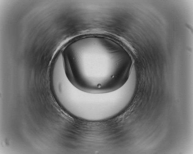 X0000096161364200802081424