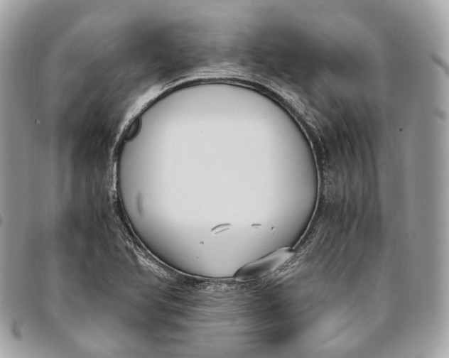 X0000096161366200802081424