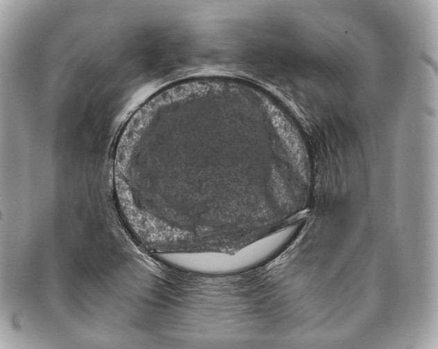 X0000096161367200802081424