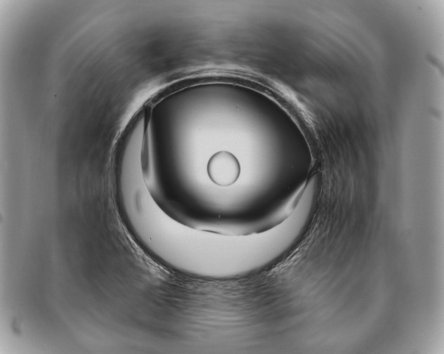 X0000096161368200802081424