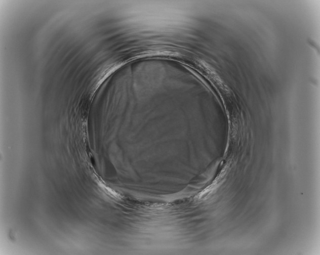 X0000096161369200802081424