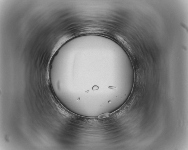 X0000096161370200802081424