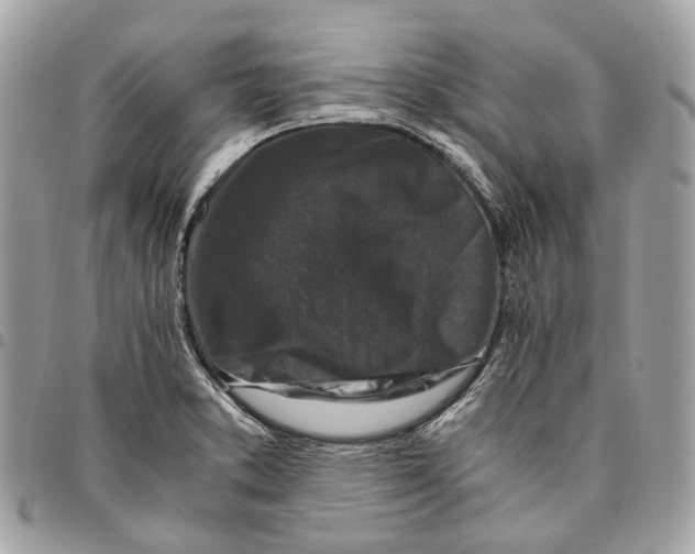 X0000096161373200802081424