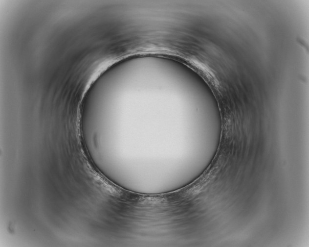 X0000096161374200802081424