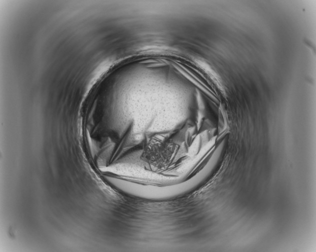 X0000096161376200802081424