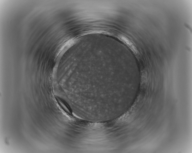 X0000096161377200802081424