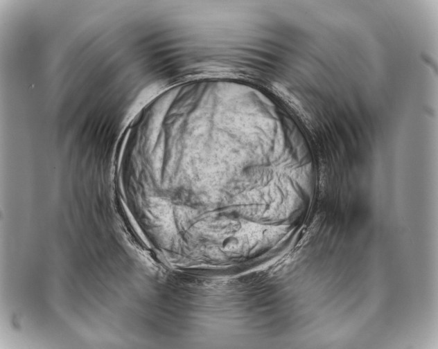 X0000096161378200802081424