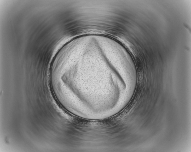 X0000096161379200802081424