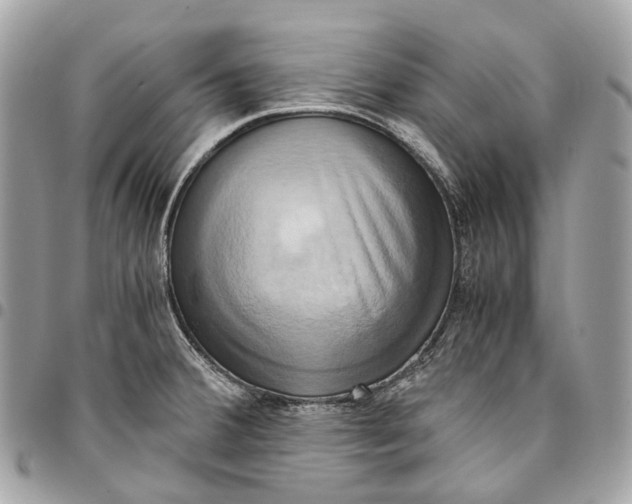 X0000096161380200802081424