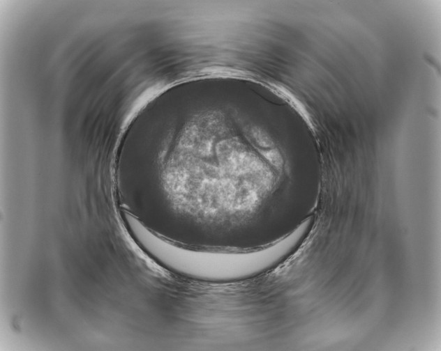 X0000096161381200802081424