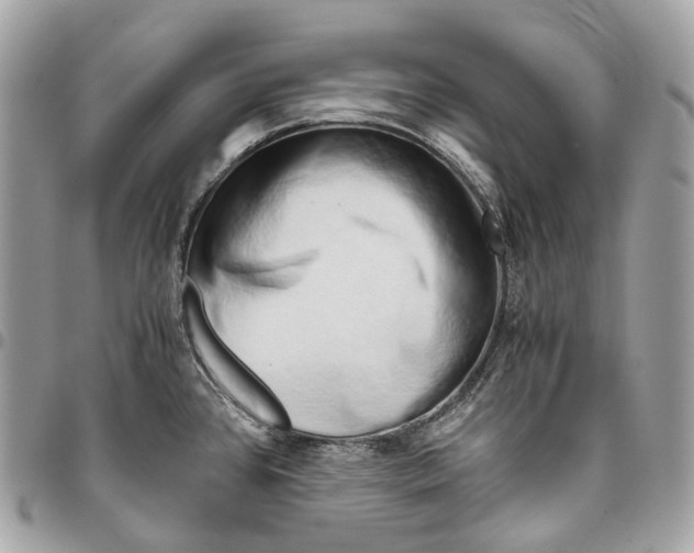 X0000096161384200802081424