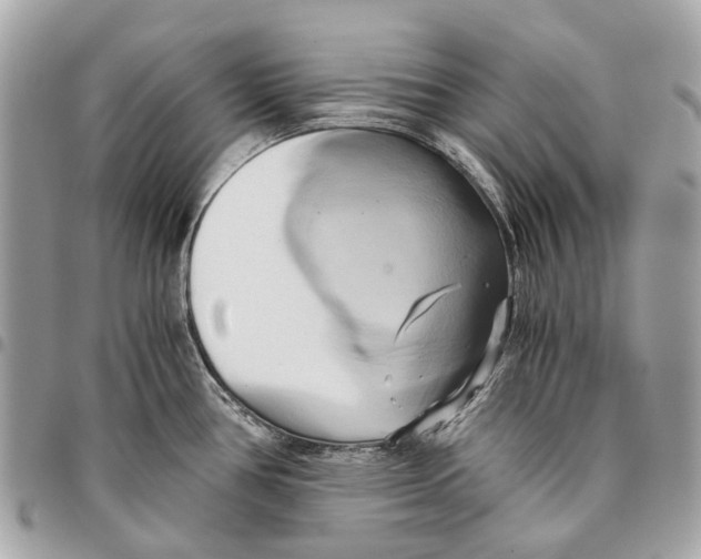 X0000096161386200802081424