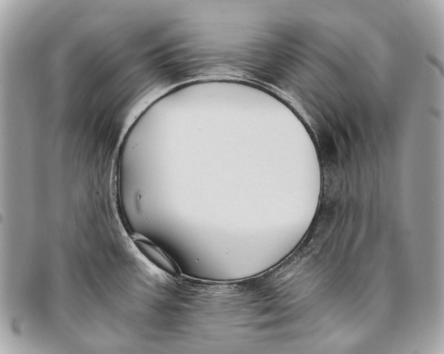 X0000096161387200802081424