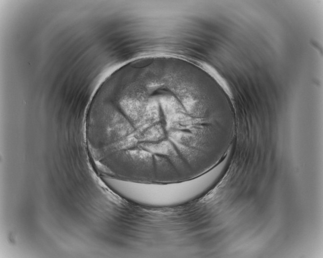 X0000096161388200802081424