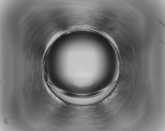 X0000096161389200802081424