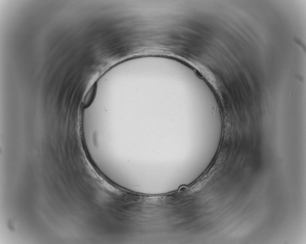 X0000096161390200802081424