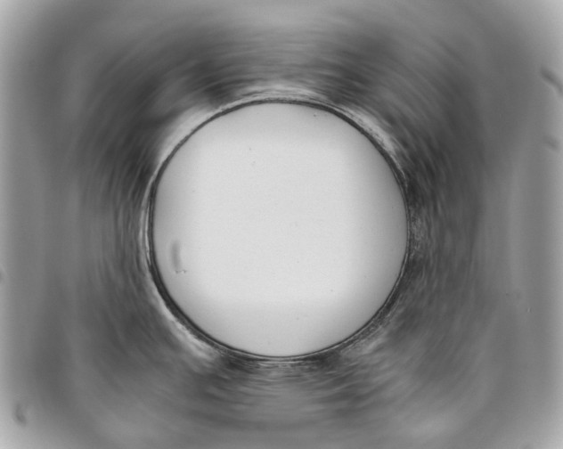 X0000096161391200802081424