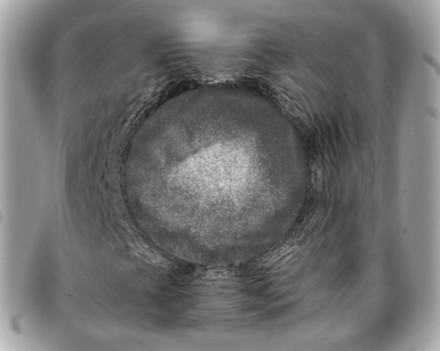 X0000096161393200802081423