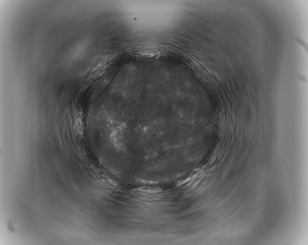 X0000096161394200802081423