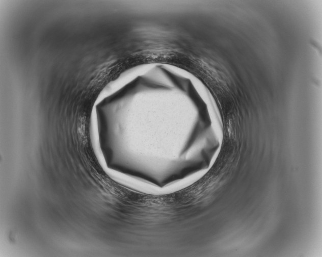 X0000096161396200802081423