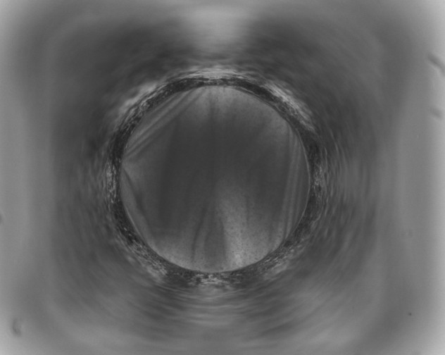 X0000096161398200802081424