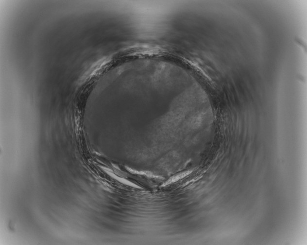 X0000096161399200802081424