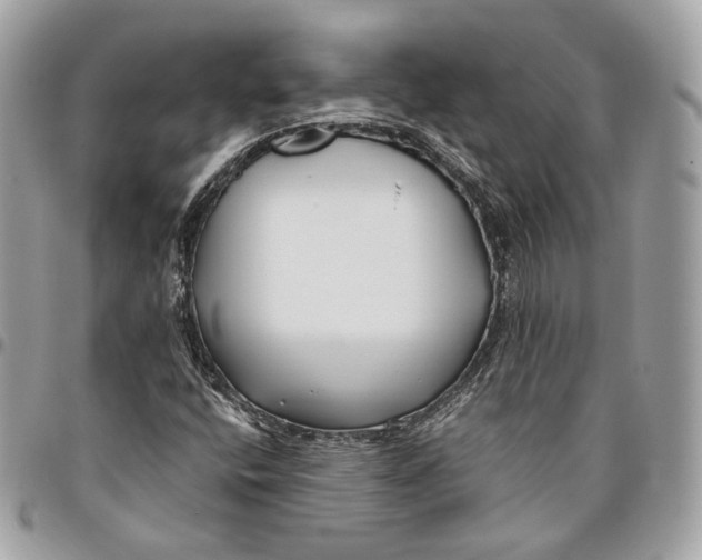 X0000096161400200802081424