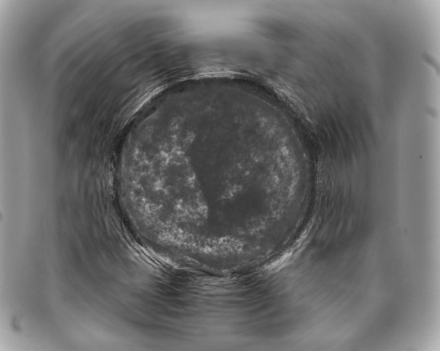 X0000096161401200802081424