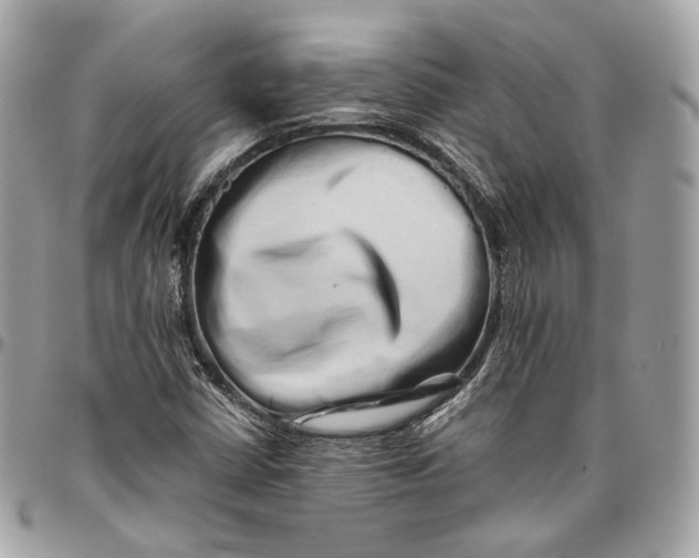 X0000096161402200802081424