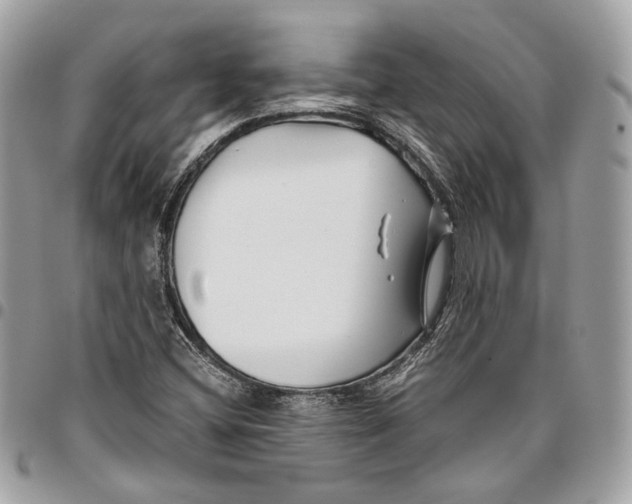 X0000096161404200802081424