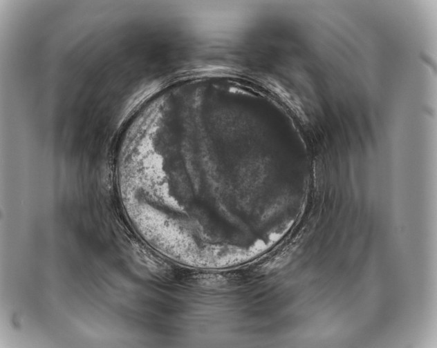 X0000096161405200802081424