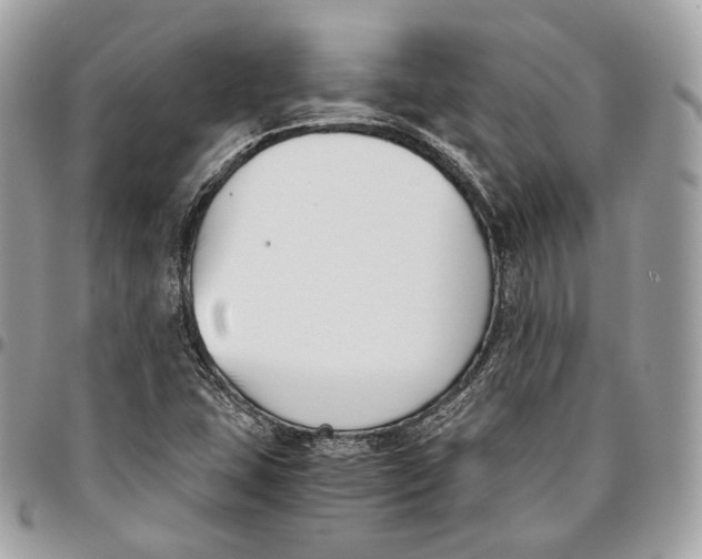 X0000096161407200802081424