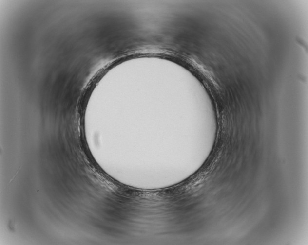 X0000096161408200802081424