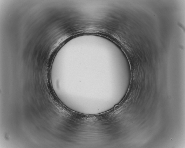 X0000096161410200802081424