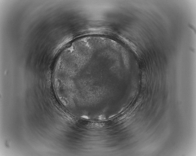 X0000096161411200802081424