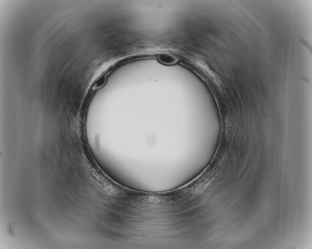 X0000096161412200802081424