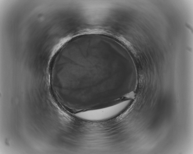 X0000096161414200802081424